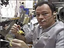 Astronaut Michael Lopez-Alegria eats some corn as a part of his Thanksgiving meal. - lopez
