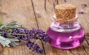 Hasil gambar untuk Minyak Lavender