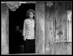 Image result for tình mẹ