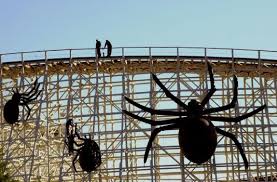 Six Flags Great America Celebrates 50th Season with New Attractions and a Look Back at a Spider Heist