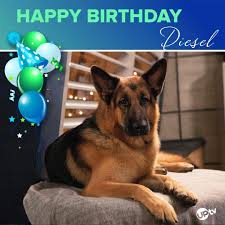 Arlene - ♥️ ♥️ HAPPY BIRTHDAY DIESEL ♥️ ♥️ MAY YOUR DAY BE ROYAL IN EVERY WAY‼️ | Facebook