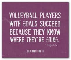 Amazing Volleyball Quotes. QuotesGram via Relatably.com