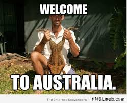 Image result for welcome to the internet meme