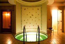 Image result for building a steam room