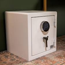 MAXSafes 1.7 cu. ft. Fireproof and Waterproof Home ...