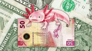 ¿Adiós al Superpeso? El dólar da un golpe y así cerró la primera semana de junio