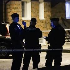 SVT Nyheter - News update