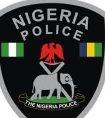 Image result for nigeria police