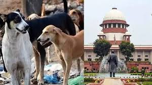 Times of India - News update
