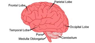 Image result for contiguity principle examples