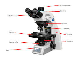 Imagen de Brazo o columna del microscopio