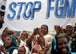 Image result for fgm