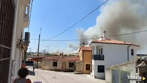 Noticias Salamanca - Tribuna - News update