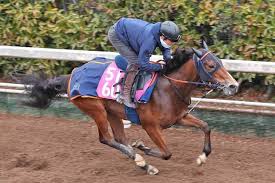 News source: Yahoo!ニュース