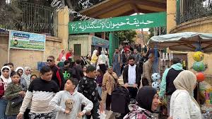 رغم الأمطار في ثاني أيام عيد الفطر .. إقبال كبير على حديقة حيوان الإسكندرية