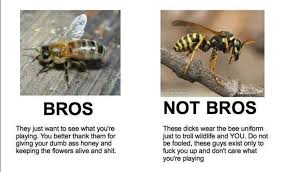 Hand picked 5 cool quotes about wasps photo Hindi | WishesTrumpet via Relatably.com