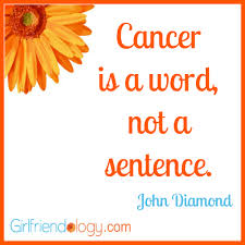 Quotes For Friends With Cancer. QuotesGram via Relatably.com