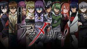 Image result for Akame Ga kill
