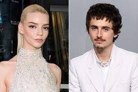 Timothée Chalamet Dune 3