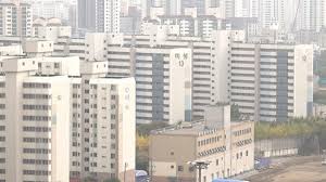 네이버 프리미엄콘텐츠
