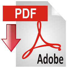 Image result for pdf icon