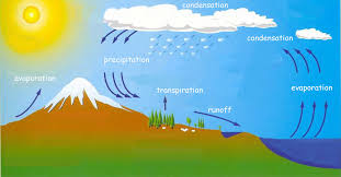 Image result for water cycle