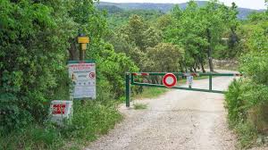 Corps calciné dans la forêt à Allauch : le cadavre retrouvé carbonisé est celui d’une femme de 26 ans
