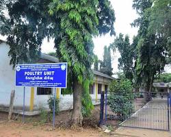 Image of Tamil Nadu Veterinary and Animal Sciences University livestock farm