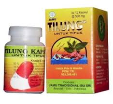 Hasil gambar untuk Obat herbal typus