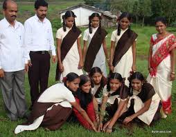 Image result for Tree plantation