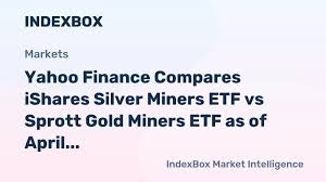 Silver tilt pays off: SLVP outperformed SGDM over the past year but with higher risk