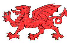 Image result for tiny welsh red dragon
