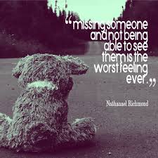 33 Quotes about Missing Someone you Love via Relatably.com