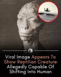 The face is humanoid but covered in rough, scaled skin. Eyes are set w... | TikTok