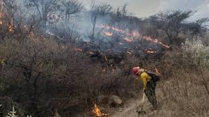Incendio Guadalajara