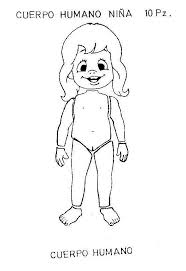 Resultado de imagen para cuerpo humano