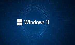 Trend Google: windows 11