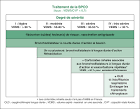 Bronchopneumopathie chronique obstructive (BPCO )