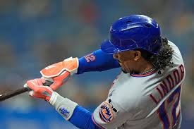 Mets Rays Baseball