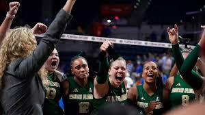 South Florida Volleyball Upsets No. 10 Florida in Gainesville for the Highest-Ranked Win in Program History