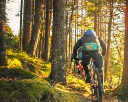 Image of mountain biker exploring a scenic forest trail