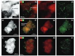 “Flexible Rapid Testing Platform for Emerging Diseases Developed with Initial Success for MPOX”