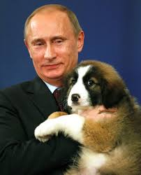 Image result for vladimir putin