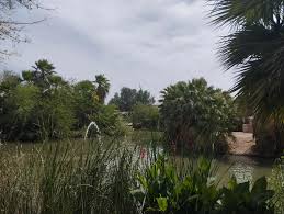 Temperaturas máximas de hasta 34 grados centígrados se estarán registrando en Mexicali