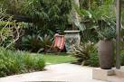 Modern Contemporary Garden Design Sydney Think