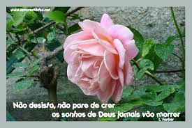 images?q=tbn:ANd9GcSSkQsafmq4Lit4AezQ3oA