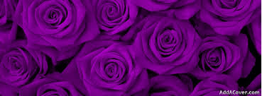 images?q=tbn:ANd9GcSSqjFp2q4luoshgtRrO9KPUuKmcst4-9w_iQrOu4S7uB-tKGIv