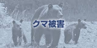 News source: Yahoo!ニュース