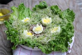 Image result for RAU MẦM CẢI XANH