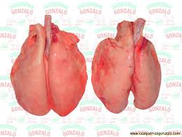 images?q=tbn:ANd9GcSSvVuhf7Ra_j73Y9kphBCxBovY8D9Fg1Nw0bIewKIa7ywQnoRV